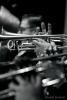 Clayton Orchestra (15)